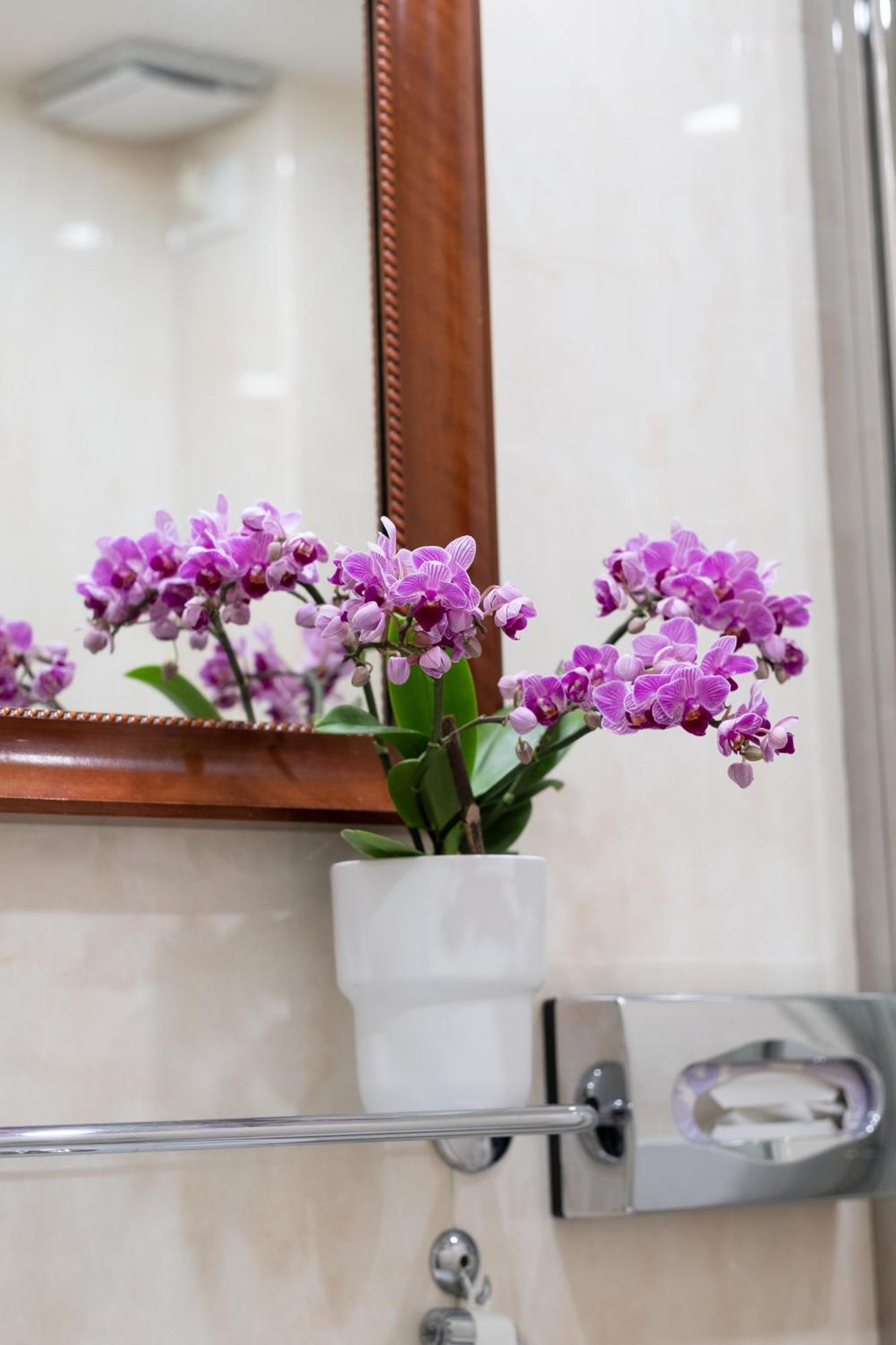 Palazzo Schiavoni Residenza D'epoca & Suite-apartments 3* Venecia